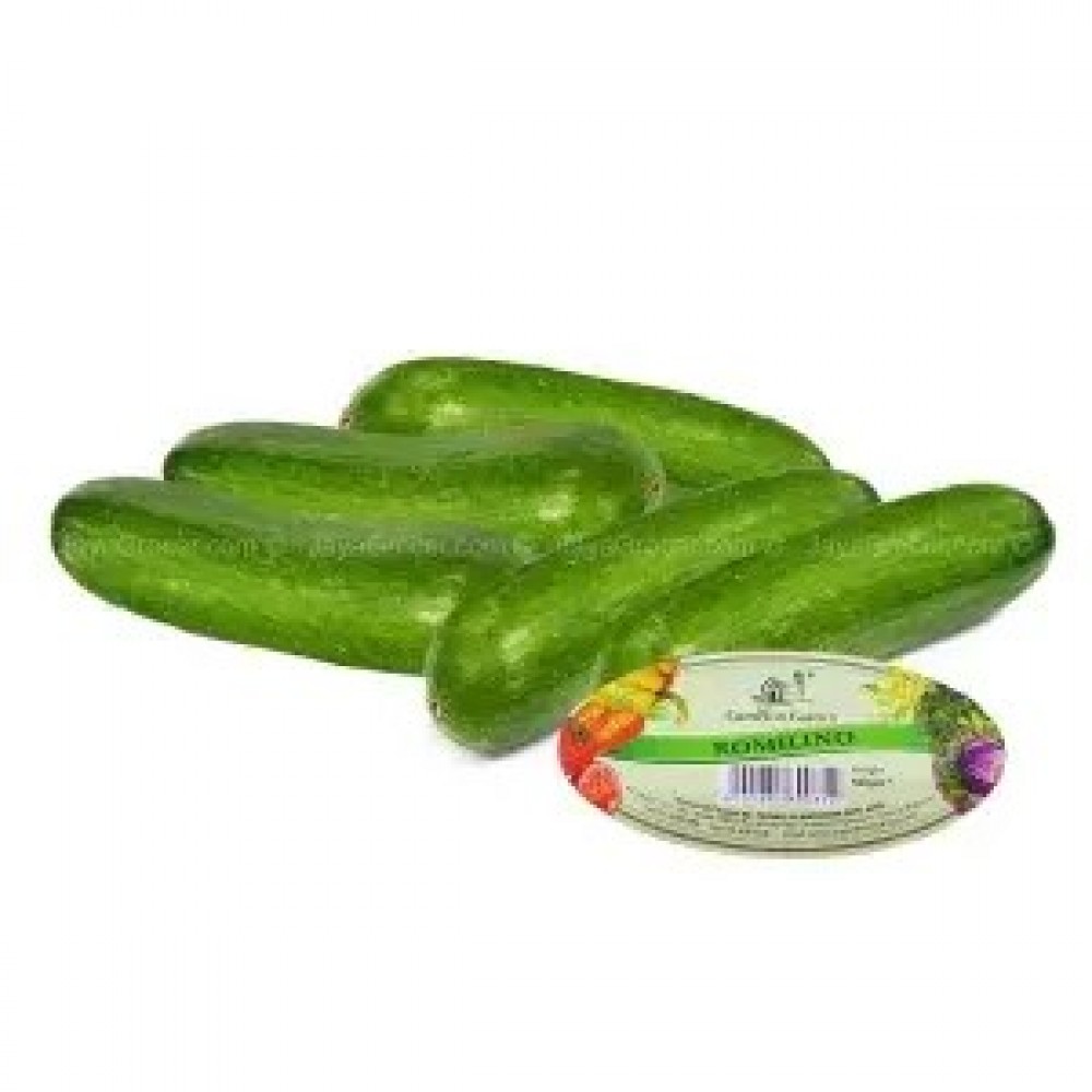 Cameron Garden Romilino Cucumber 500g Cameron Garden Romilino Cucumber 500g